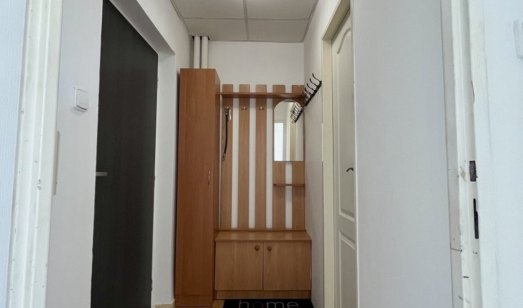 Pronájem bytu 1+1 30 m², Ostrava – náhled fotky 8