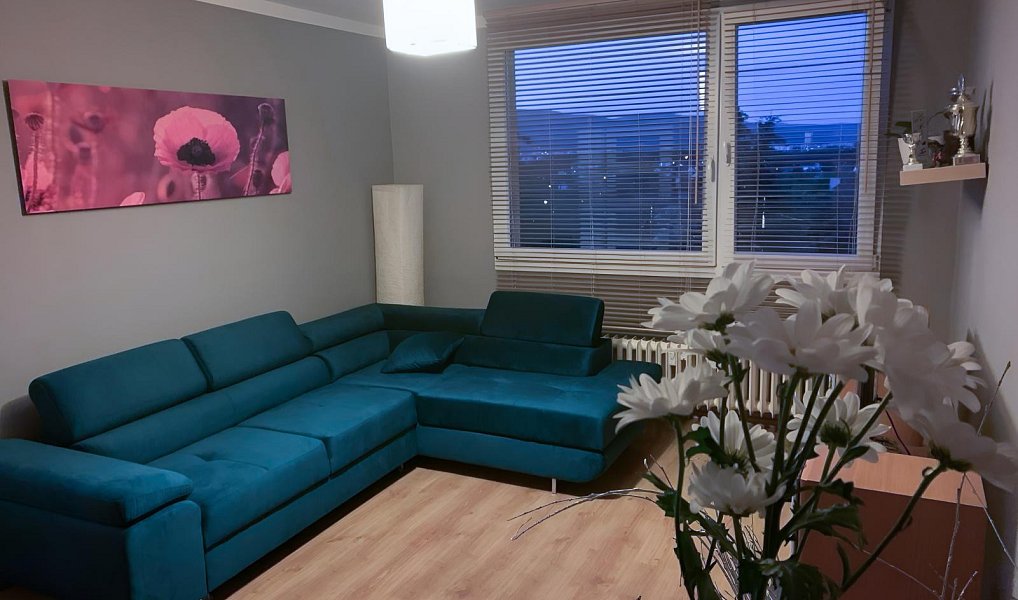 Pronájem bytu 3+1 56 m², Teplice – náhled fotky 2