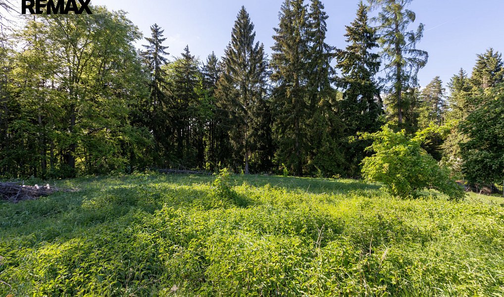 Prodej stavebního pozemku 3 902 m², Karlovy Vary – náhled fotky 10