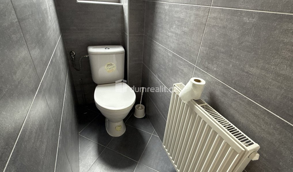 Pronájem bytu 2+1 58 m², Plzeň – náhled fotky 11