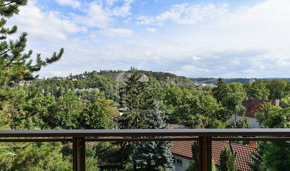 Prodej bytu 4+kk 111 m², Praha – náhled fotky 14