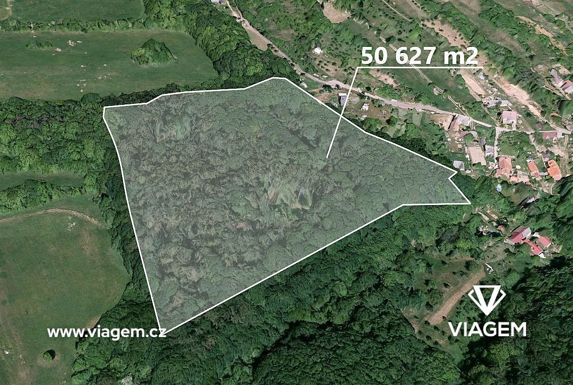 Prodej lesa 8 165 m²