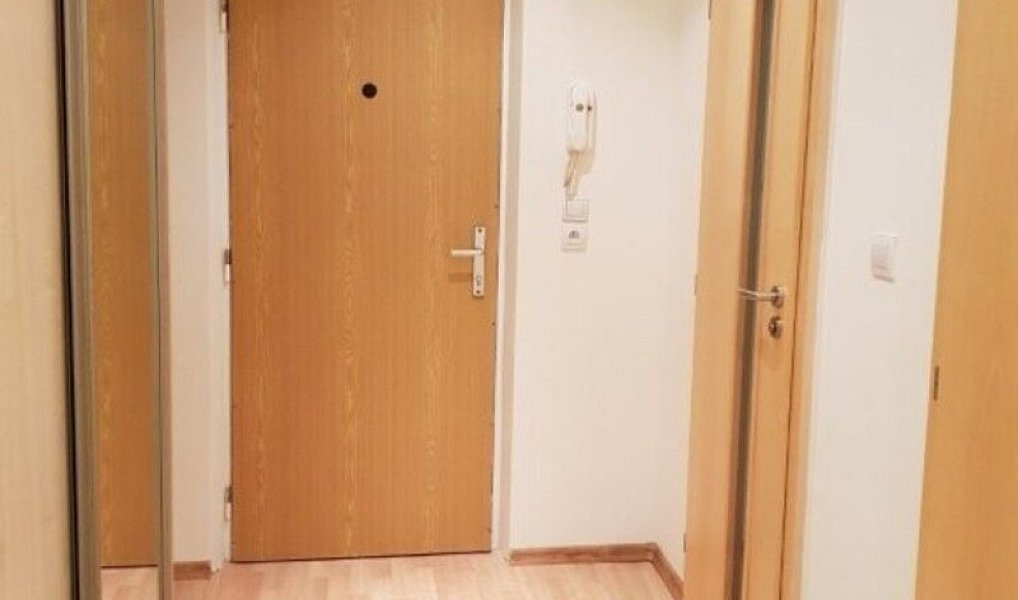 Pronájem bytu 2+1 55 m², Hradec Králové – náhled fotky 11
