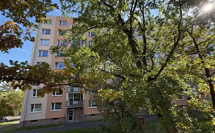 Pronájem bytu 3+1 80 m²