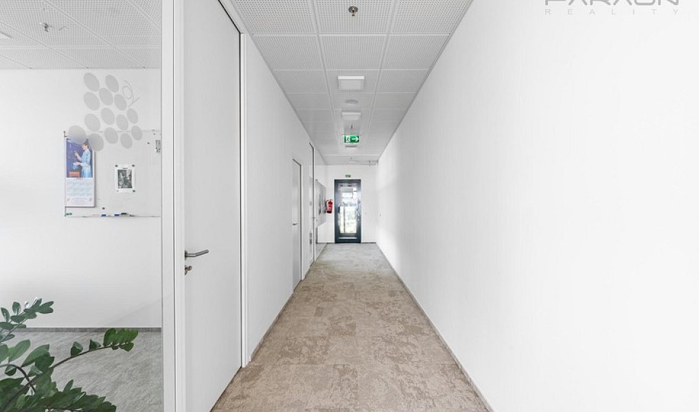 Pronájem kanceláře 256 m², Praha – náhled fotky 7