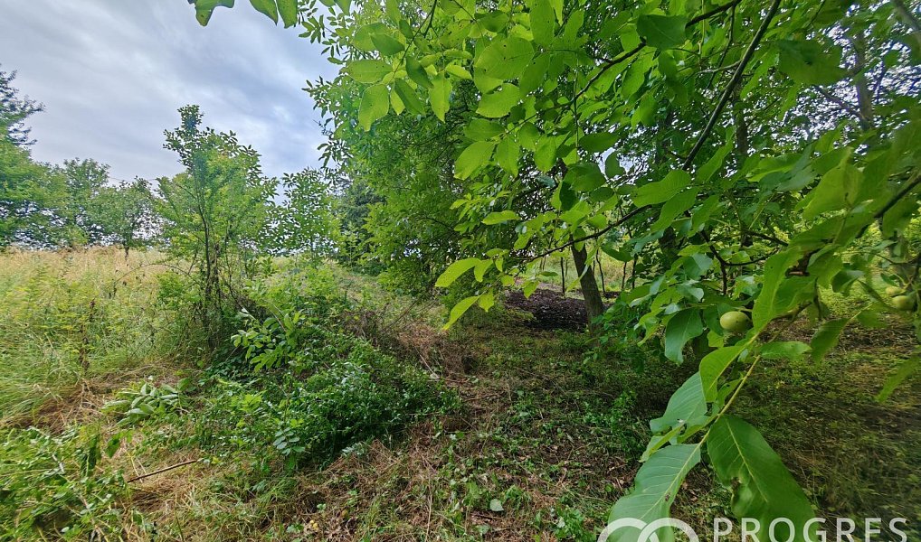 Prodej domu 160 m² s pozemkem 523 m², Rataje – náhled fotky 22