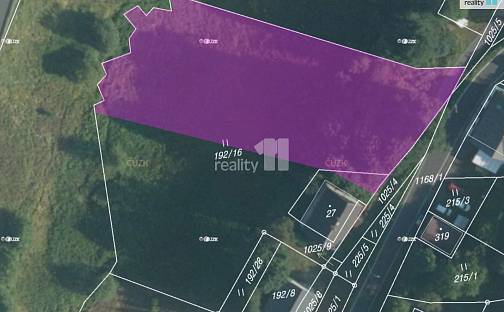 Prodej stavebního pozemku 2 335 m², Loučná pod Klínovcem - Háj, okres Chomutov