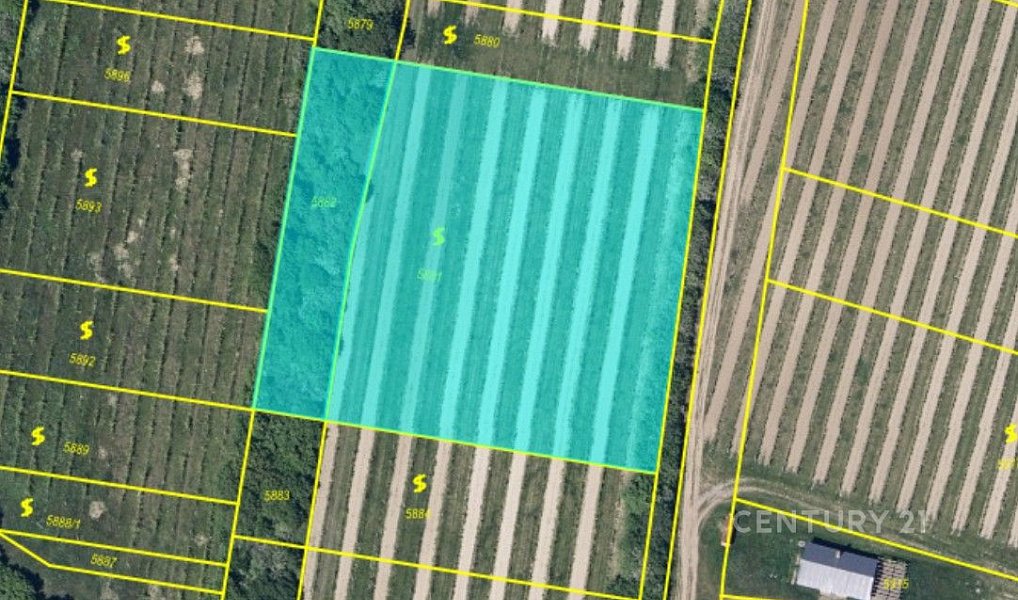Prodej pole 10 997 m², Žarošice – náhled fotky 4