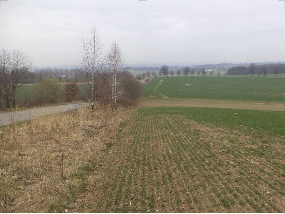 Prodej pozemku 3 570 m² — photo 3