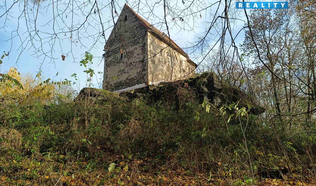 Prodej domu 100 m² s pozemkem 12 305 m², Čáslav – náhled fotky 6