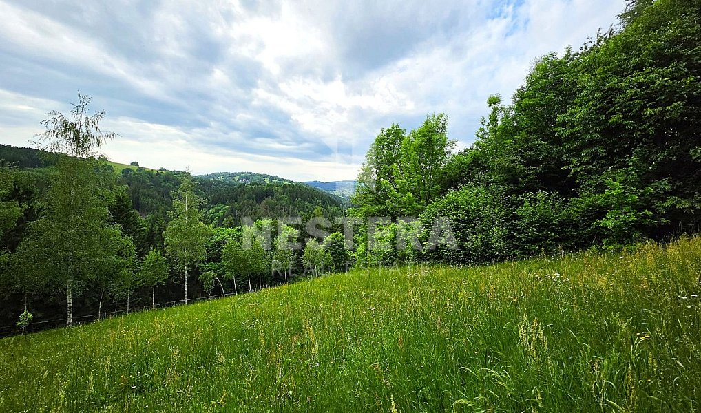 Prodej chaty/chalupy 162 m² s pozemkem 1 290 m², Jablonec nad Jizerou – náhled fotky 12