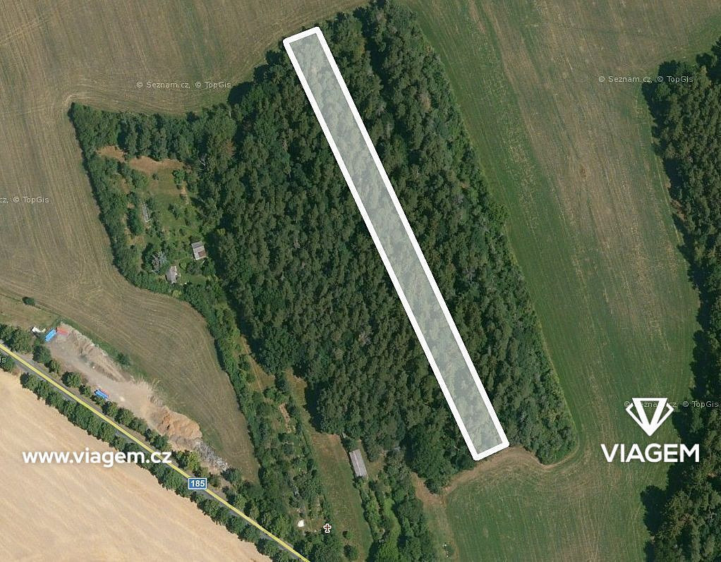 Prodej lesa 427 m² – pohled 2