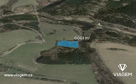 Prodej lesa 6 061 m², Řendějov, okres Kutná Hora