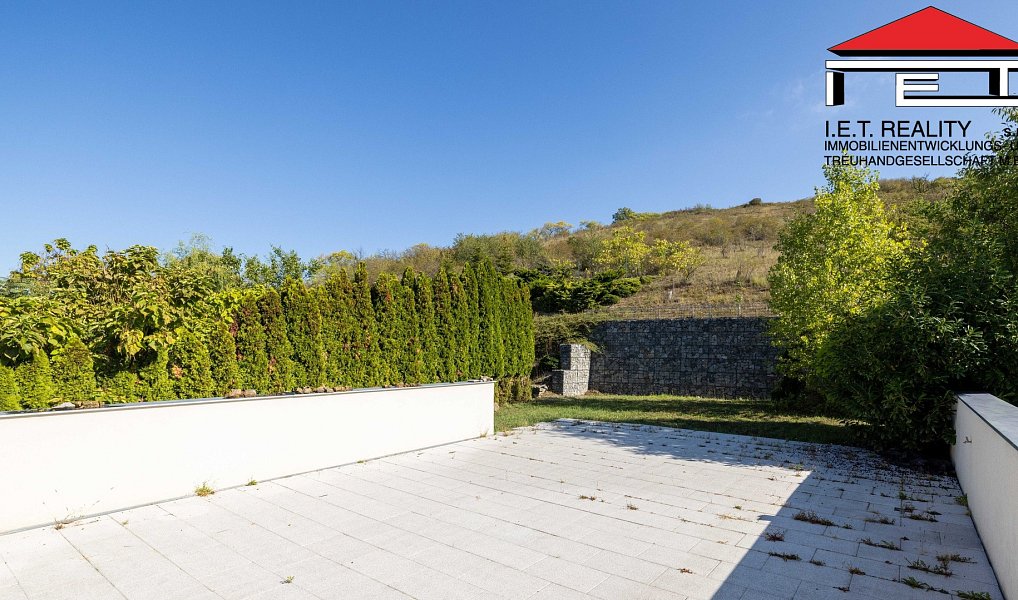 Prodej domu 326 m² s pozemkem 2 960 m², Židlochovice – náhled fotky 6