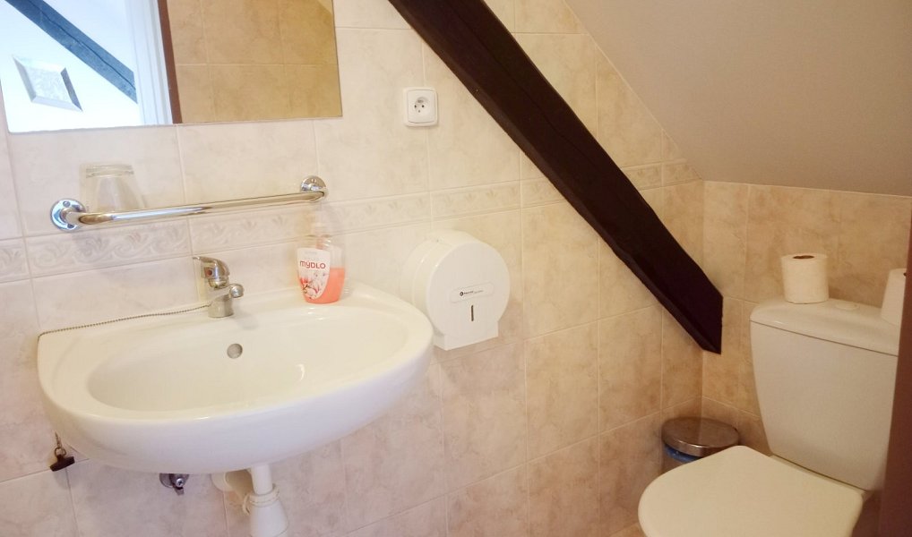 Prodej domu 290 m² s pozemkem 188 m², Třeboň – náhled fotky 10