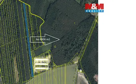 Prodej lesa 8 906 m², Městec Králové, okres Nymburk