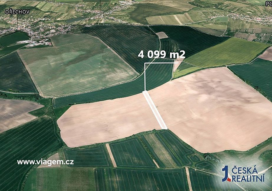 Prodej pole 2 732 m² – fotografie 2