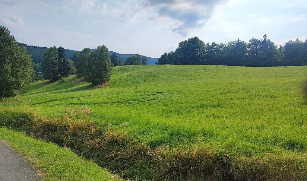 Prodej stavebního pozemku 22 105 m², Lipová-lázně – náhled fotky 8