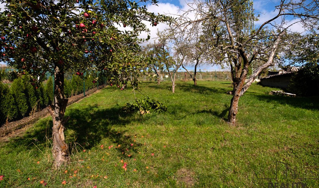 Prodej zahrady 1 863 m², Přerov – náhled fotky 8