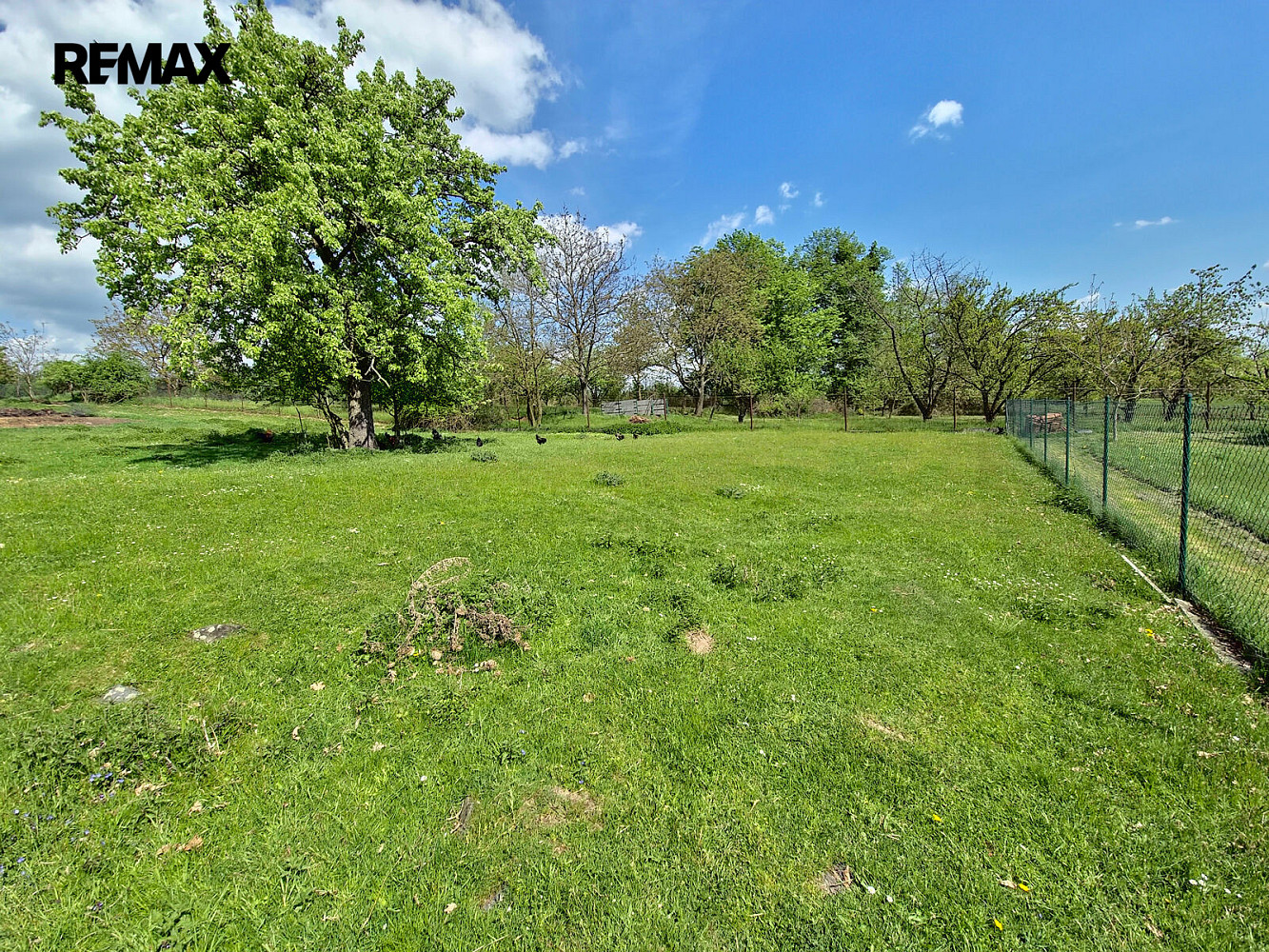 Prodej stavebního pozemku 1 384 m² – fotografie 3