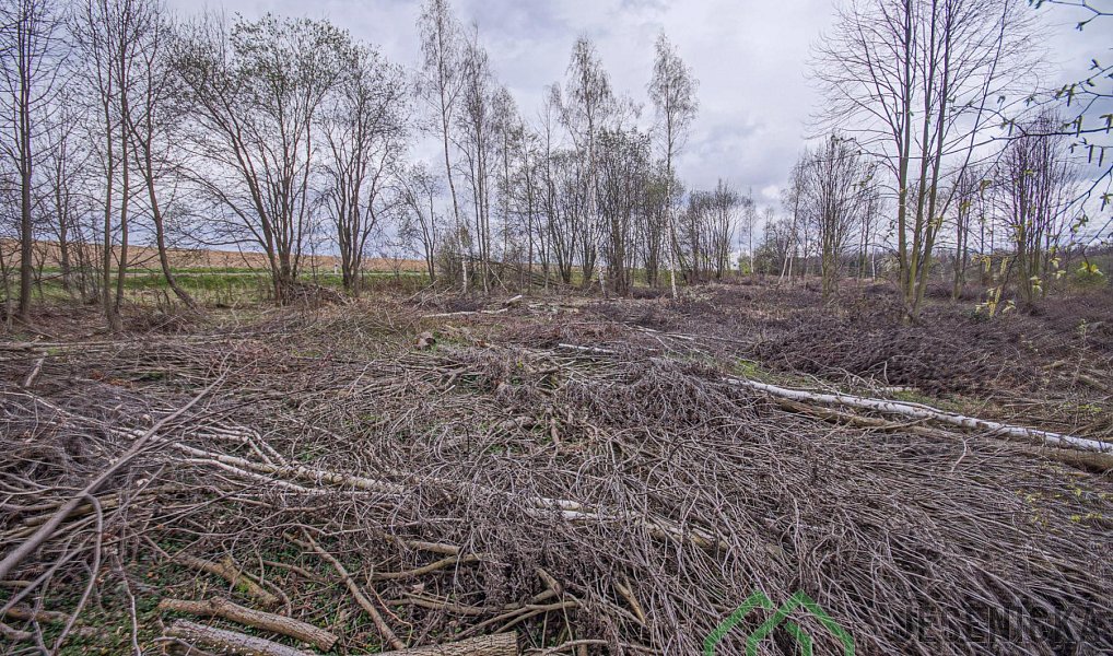 Prodej pole 6 787 m², Mikulovice – náhled fotky 11