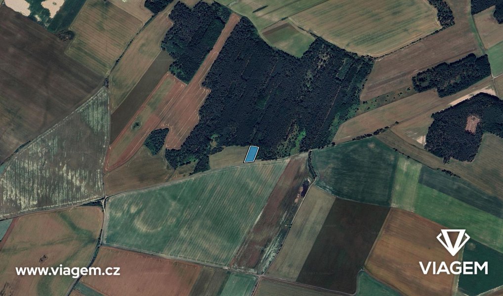 Prodej pole 3 713 m², Velký Borek – náhled fotky 3