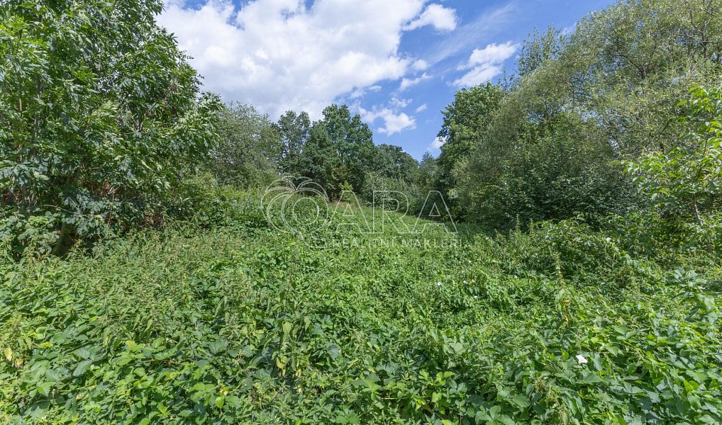 Prodej domu 250 m² s pozemkem 2 899 m², Lichnov – náhled fotky 15