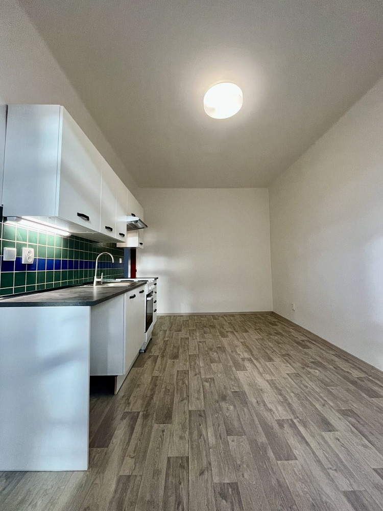 Pronájem bytu 1+1 50 m² – fotografie 3