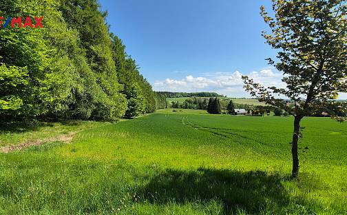 Prodej stavebního pozemku 5 776 m², Borová, okres Svitavy