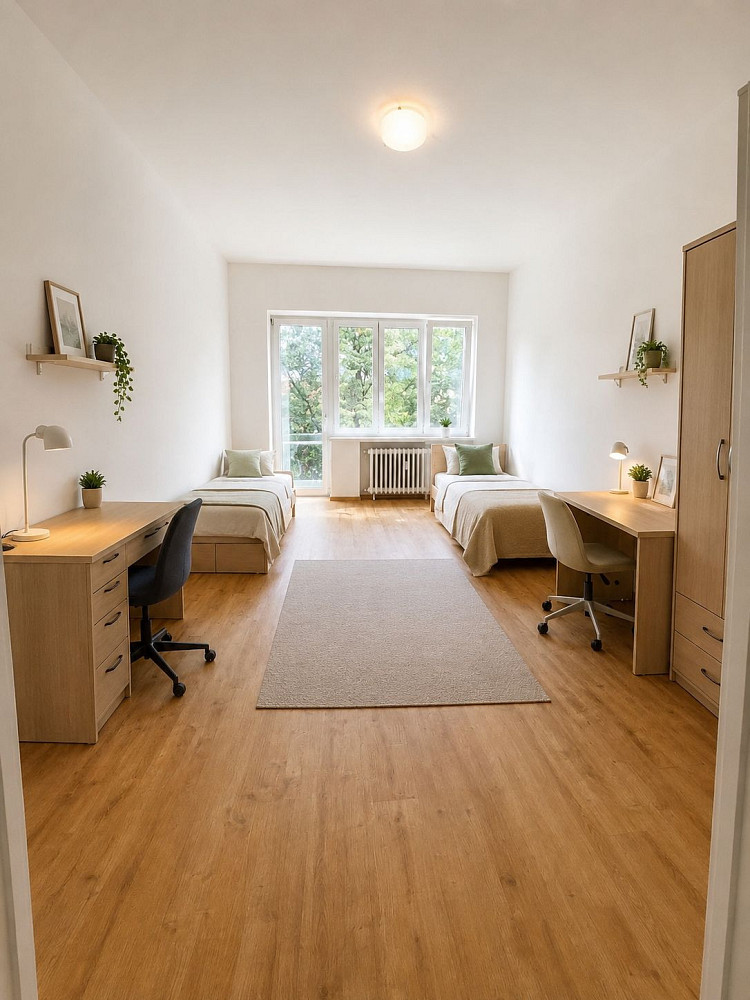 Pronájem bytu 2+1 55 m²