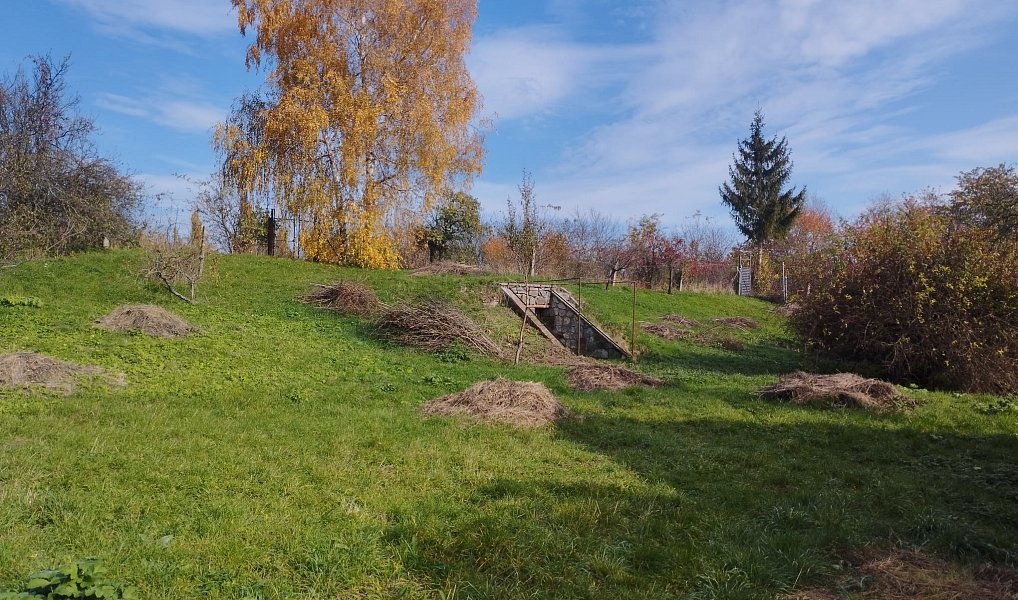 Prodej stavebního pozemku 4 411 m², Holubice – náhled fotky 4