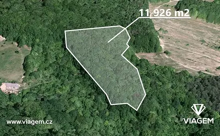 Prodej lesa 2 115 m², Košíky, okres Uherské Hradiště