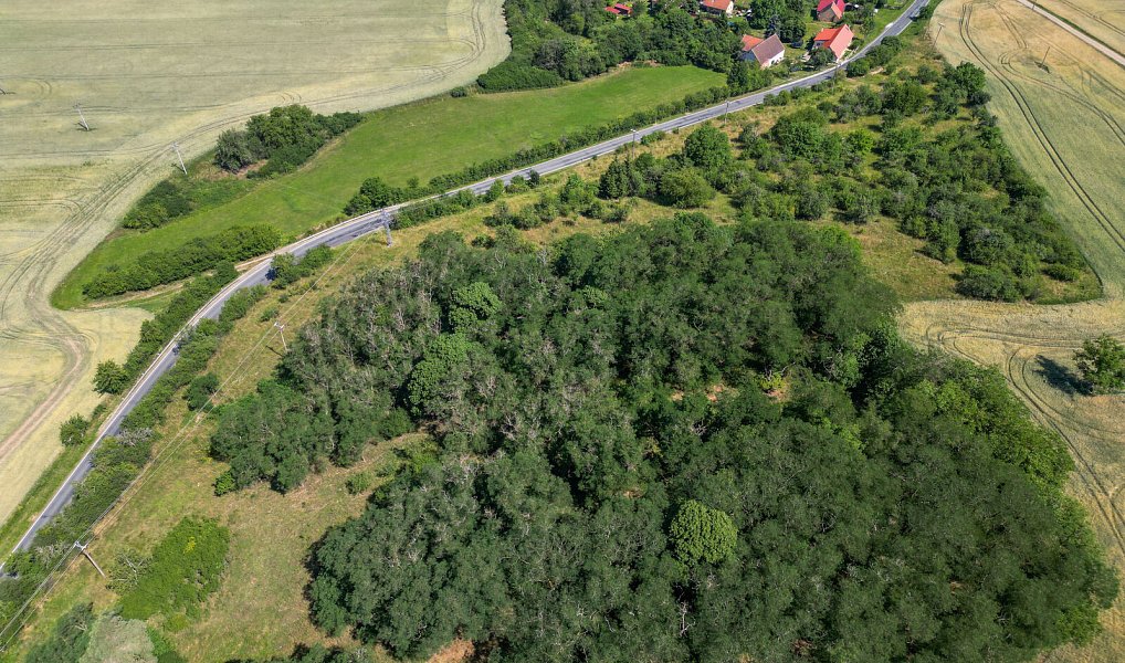 Prodej zahrady 16 882 m², Zvíkovec – náhled fotky 7