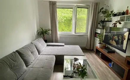 Pronájem bytu 2+1 56 m², Mánesova II, Bojkovice, okres Uherské Hradiště