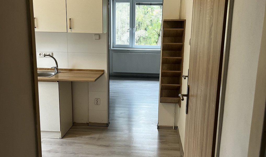 Pronájem bytu 1+1 35 m², Liberec – náhled fotky 7
