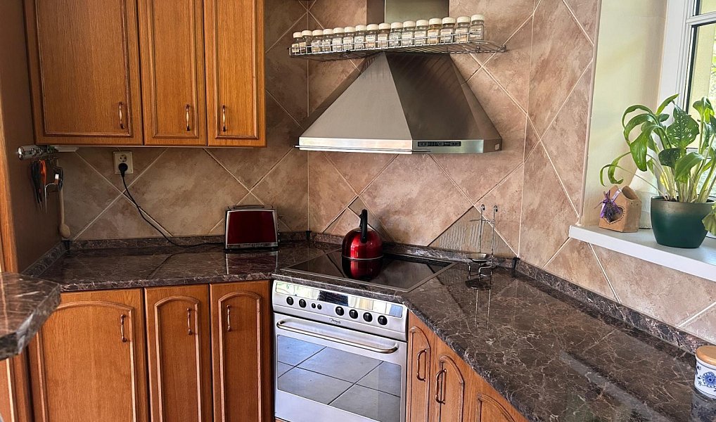 Prodej domu 392 m² s pozemkem 3 190 m², Olšany – náhled fotky 13