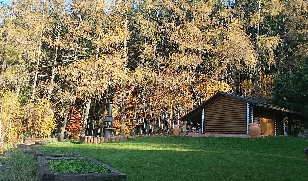 Prodej domu 210 m² s pozemkem 946 m², Pecka – náhled fotky 13