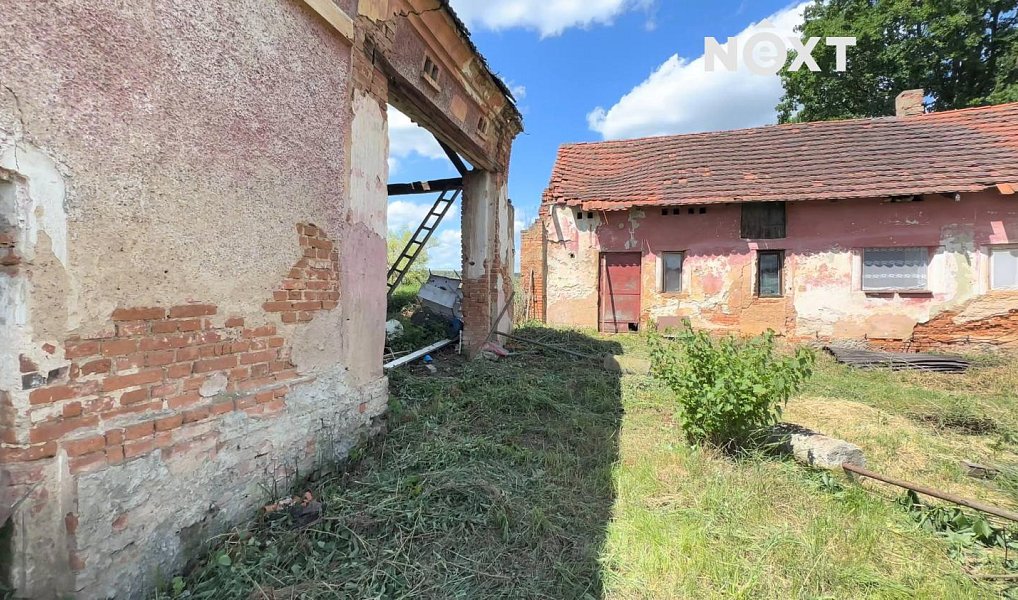 Prodej domu 215 m² s pozemkem 900 m², Puclice – náhled fotky 8
