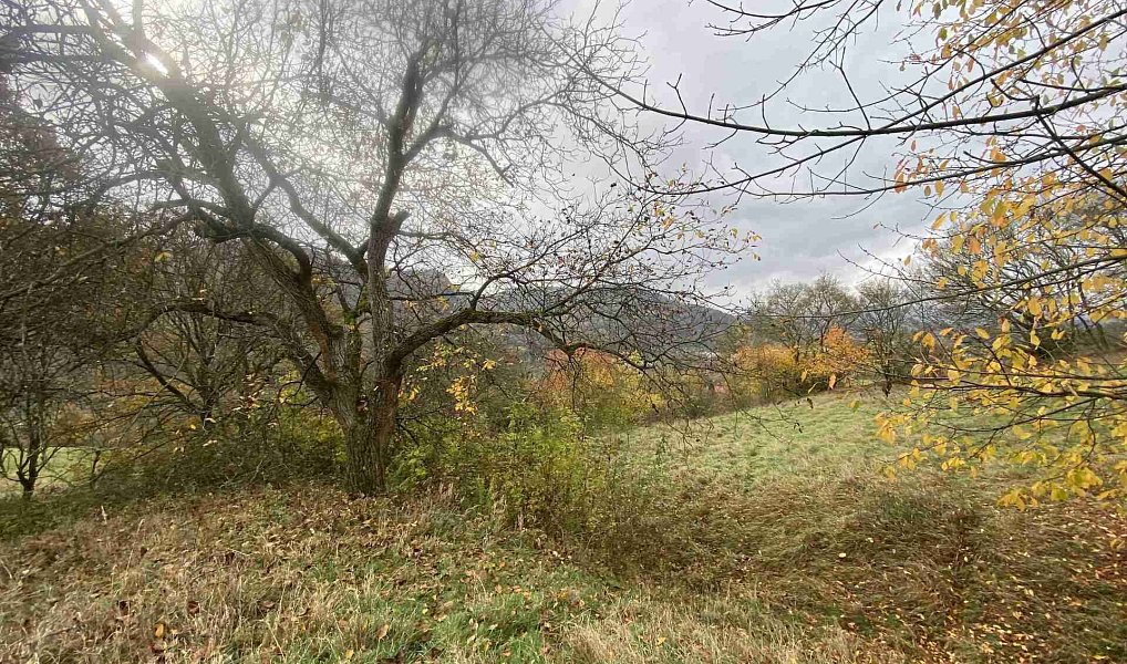 Prodej pozemku 4 431 m², Děčín – náhled fotky 2