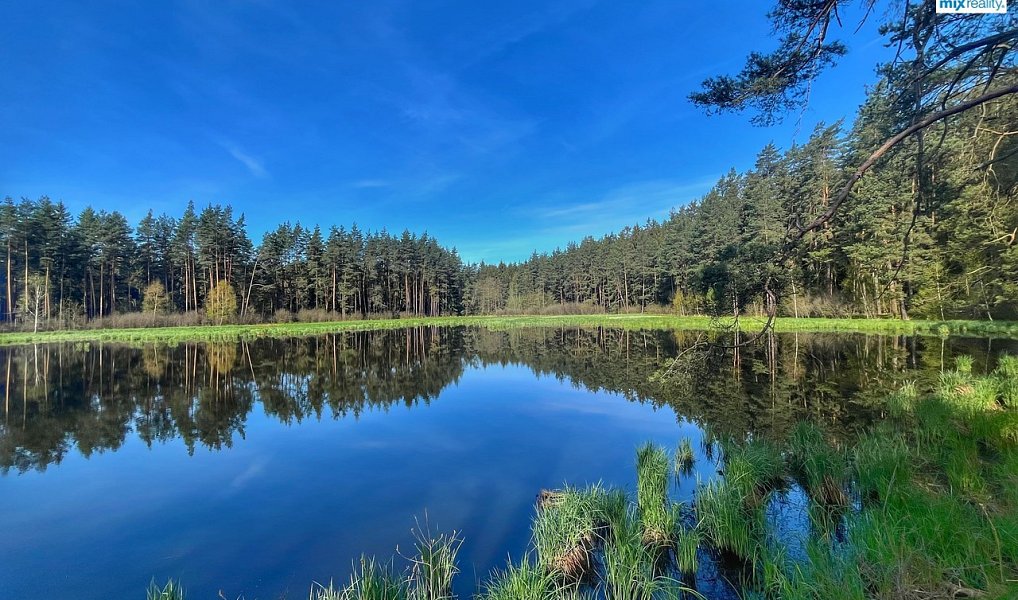 Prodej vodní plochy 16 545 m², Trstěnice – náhled fotky 4