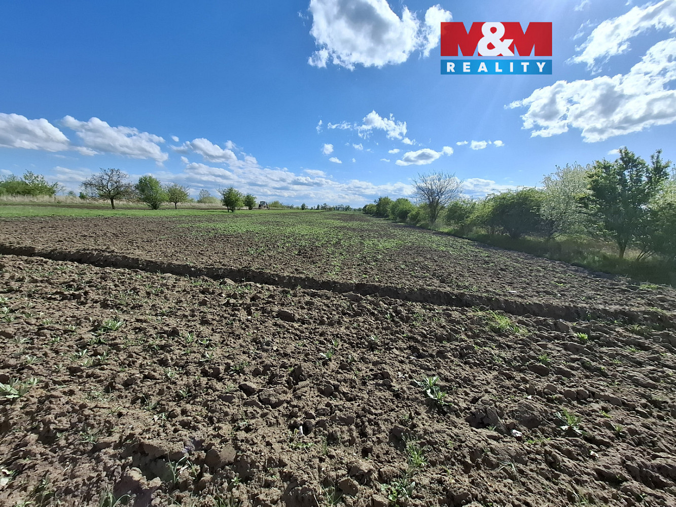Prodej pole 3 033 m²