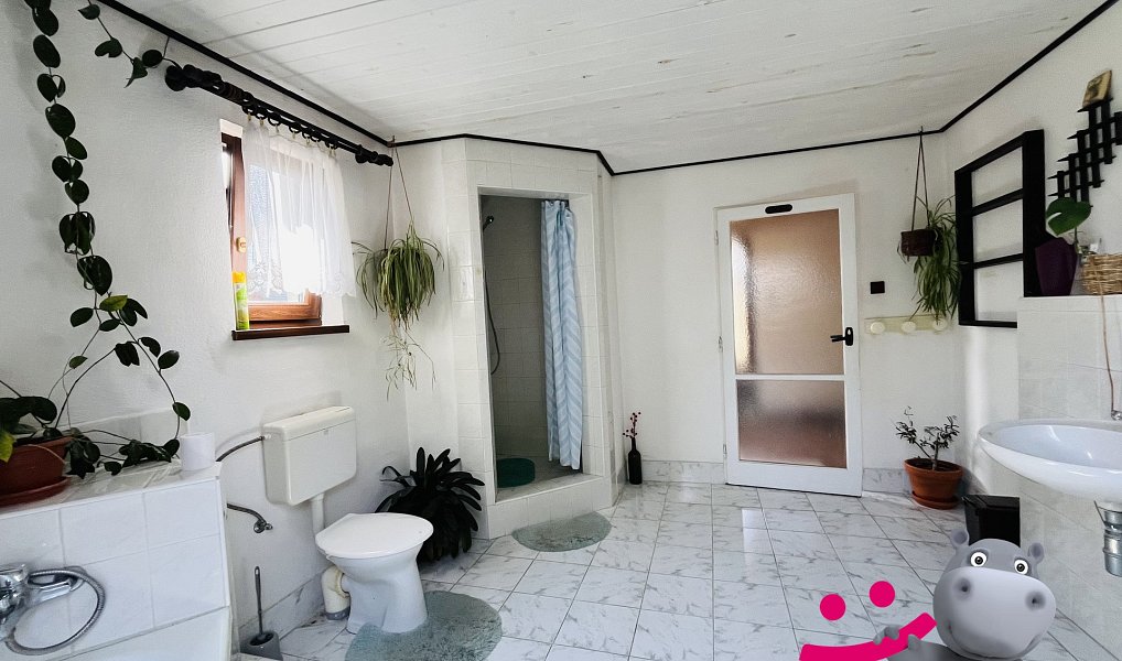 Prodej ubytovacího objektu 446 m², Černá Voda – náhled fotky 5