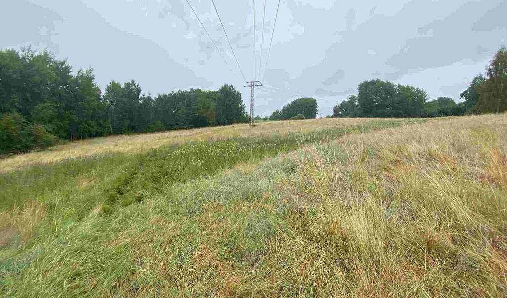 Prodej pole 49 321 m², Nové Sedlo – náhled fotky 6