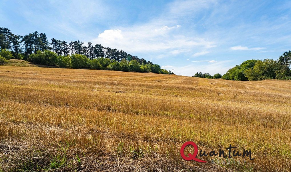 Prodej stavebního pozemku 16 339 m², Brandýsek – náhled fotky 47