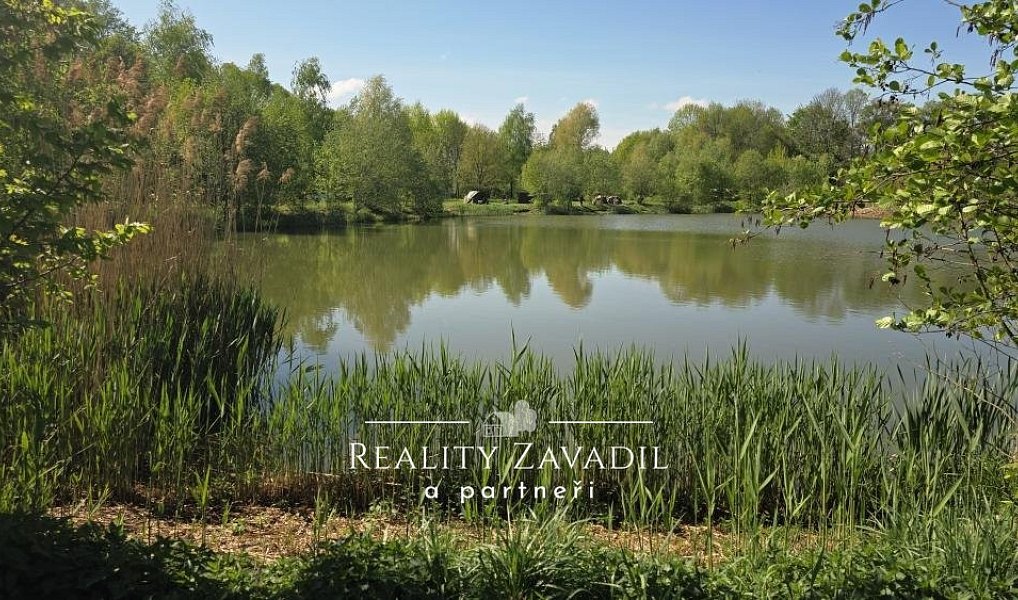 Prodej komerčního pozemku 32 500 m², Žabeň – náhled fotky 8