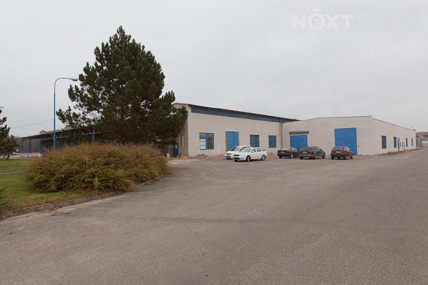 Pronájem komerčního objektu (jiného typu) 5 000 m² — photo 5