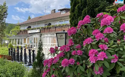 Prodej ubytovacího objektu 2 500 m², Železná Ruda - Alžbětín, okres Klatovy