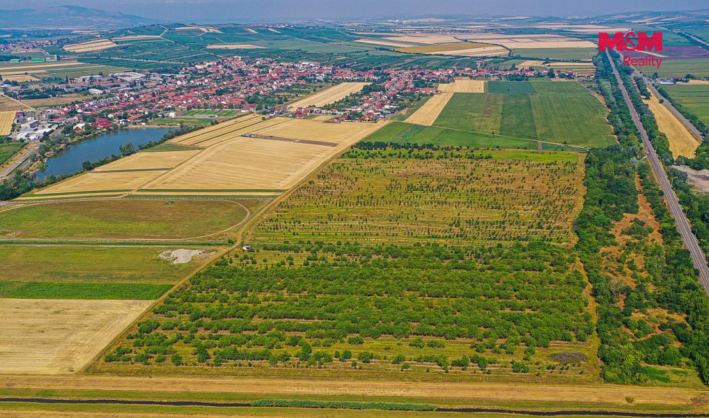 Prodej pole 53 078 m², Rakvice – náhled fotky 13