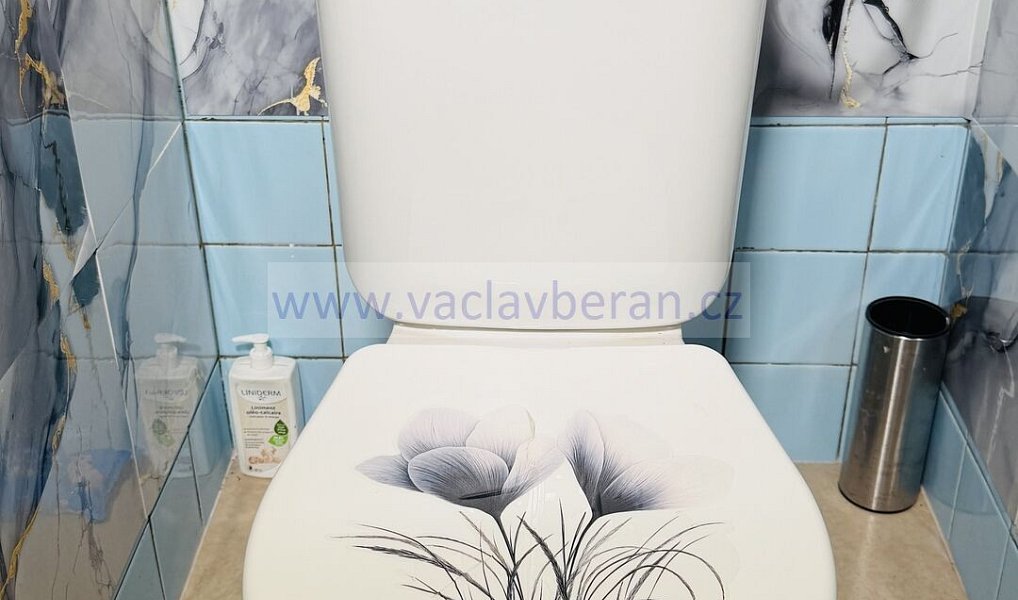Prodej domu 146 m² s pozemkem 200 m², Česká Třebová – náhled fotky 23