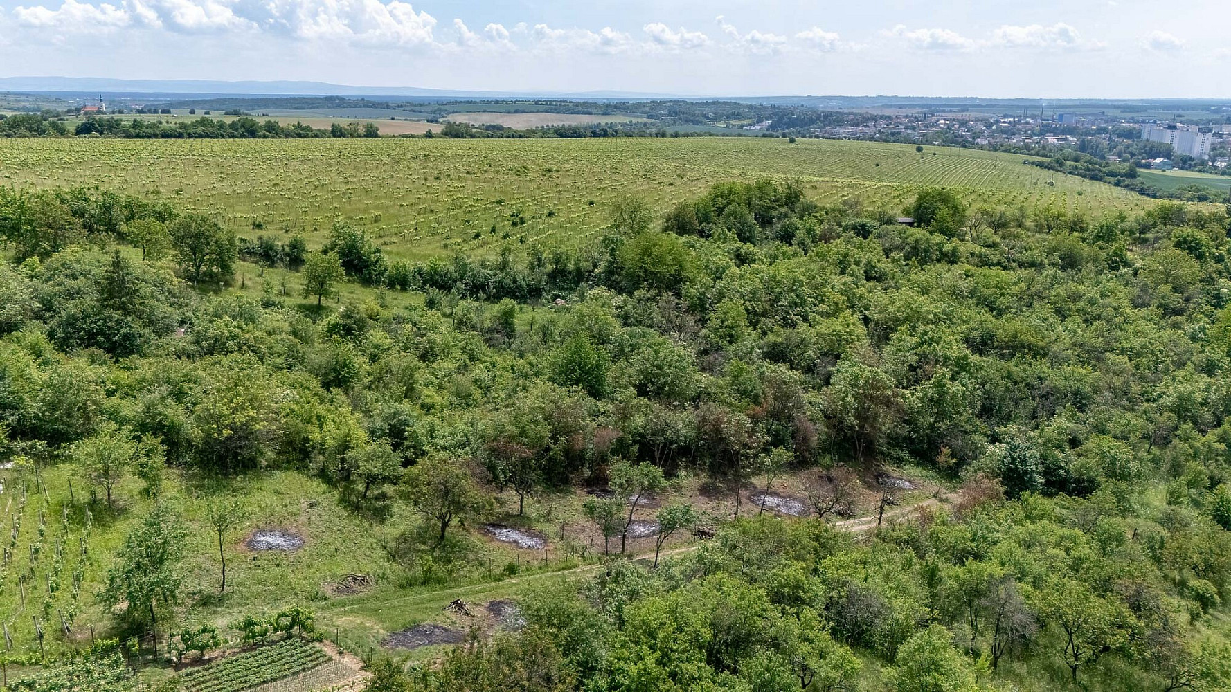 Prodej zahrady 1 007 m²